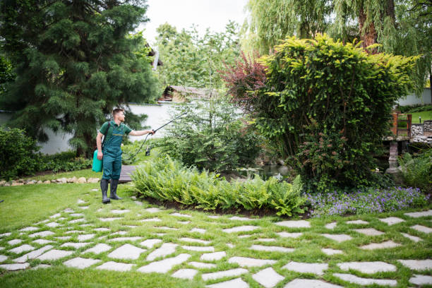Professional Pest Control in Midway, GA