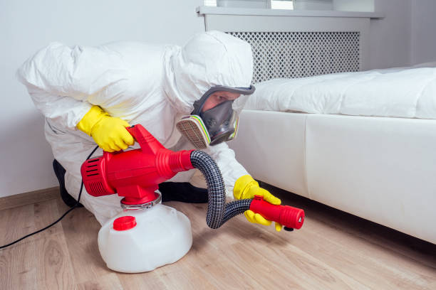Best Flea Control Services  in Midway, GA