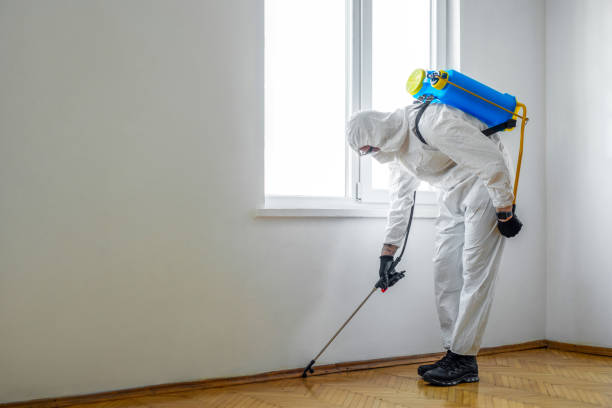Best Best Pest Control Companies  in Midway, GA
