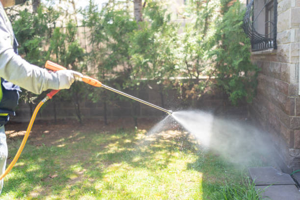 Best Cockroach Control Services  in Midway, GA
