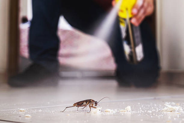 Best Wasp Removal Services  in Midway, GA